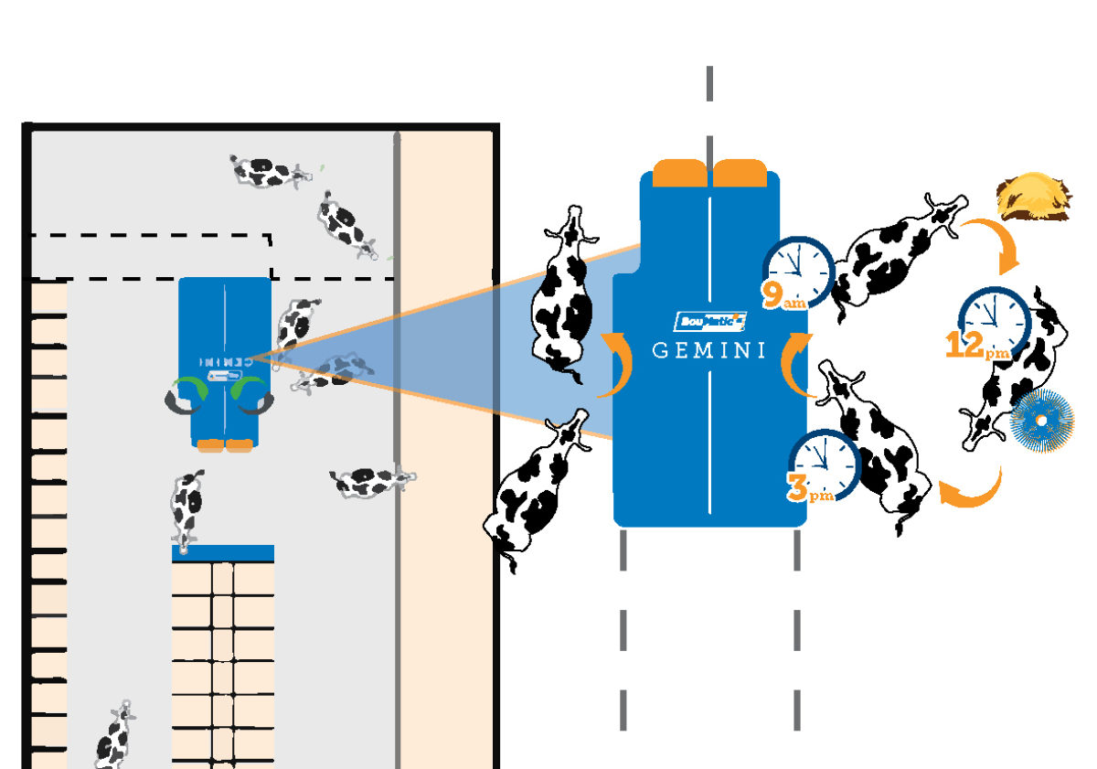 boumatic-gemini-dubbele-box-verdubbel-uw-prestaties boumatic-gemini-dubbele-box-verdubbel-uw-prestaties