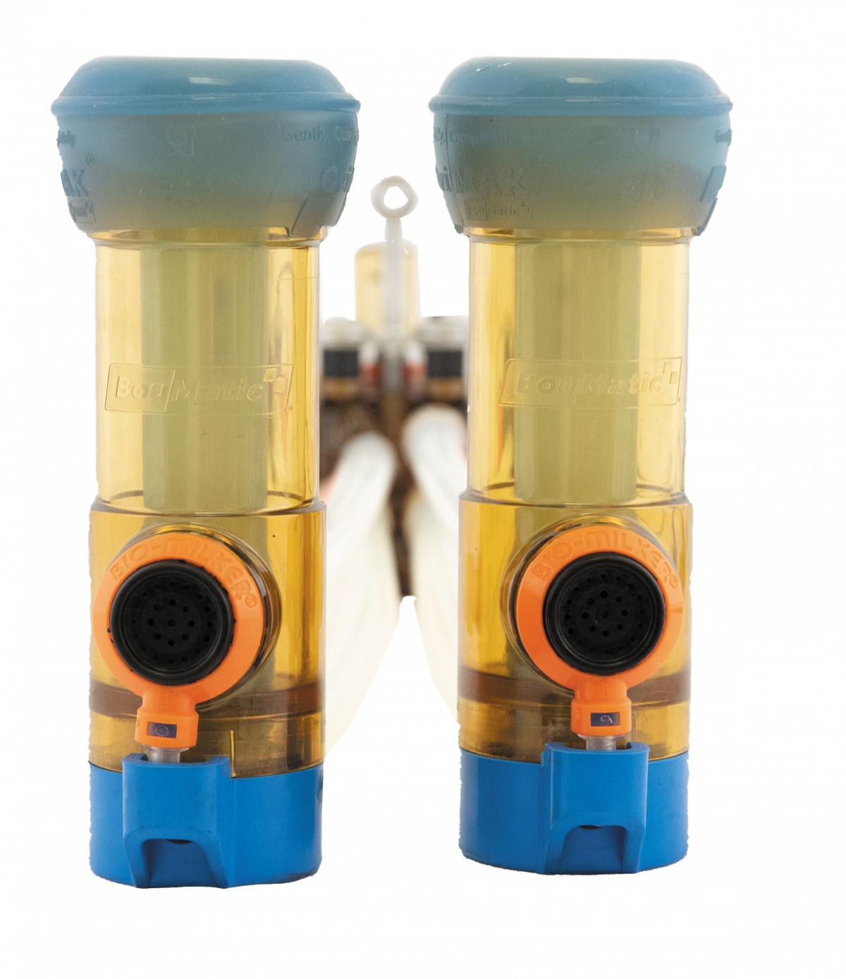 boumatic-ovimax-image Boumatic OviMAX