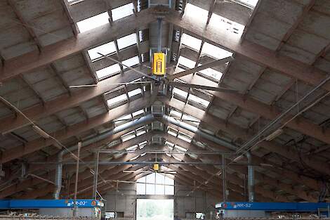 frequentie gestuurde HVLS ventilatoren - Wopereis Stalinrichting frequentie gestuurde HVLS ventilatoren - Wopereis Stalinrichting