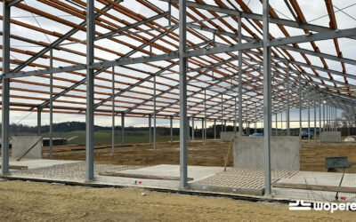 Project ligboxenstal met melkhuis Duitsland