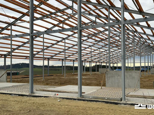 Project ligboxenstal met melkhuis Duitsland