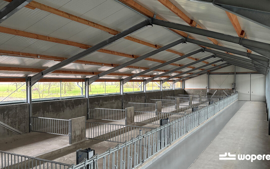Project jongveestal – ism Jan van Dulmen Etten
