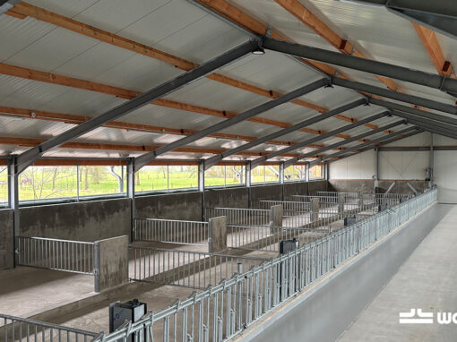 Project jongveestal – ism Jan van Dulmen Etten