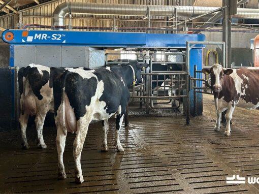 Project plaatsing 2 Boumatic Gemini melkrobots met buffertank